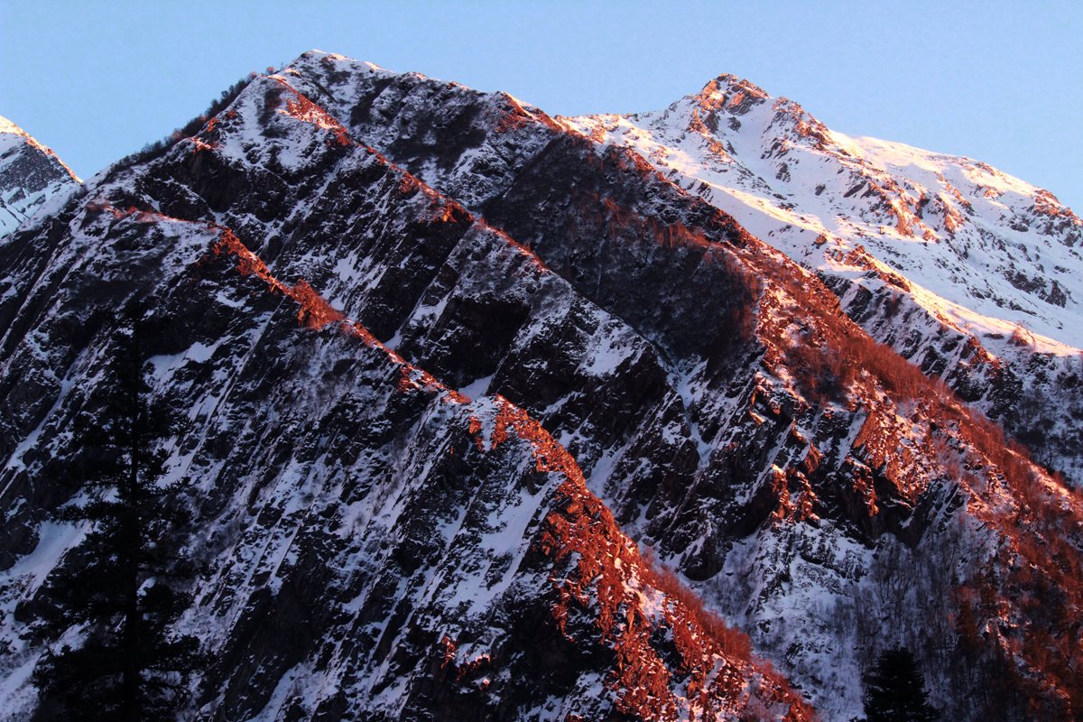 बरसात में घाटी में कई किस्म के फूल खिल उठते हैं।