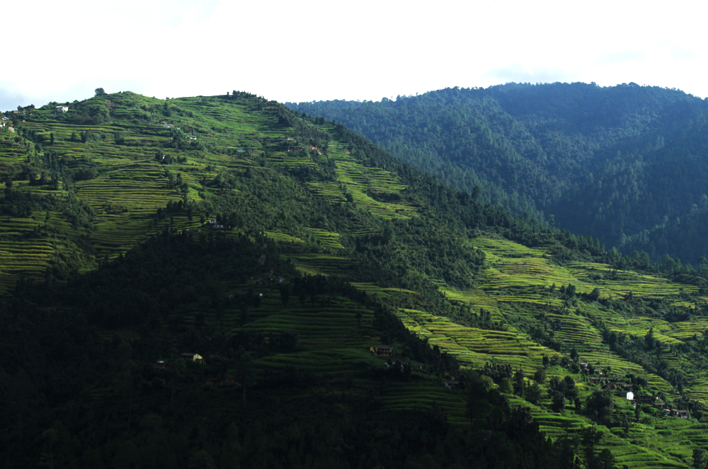 राठ क्षेत्र वाइल्ड लाइफ के दीदार के लिए भी शानदार जगह है।