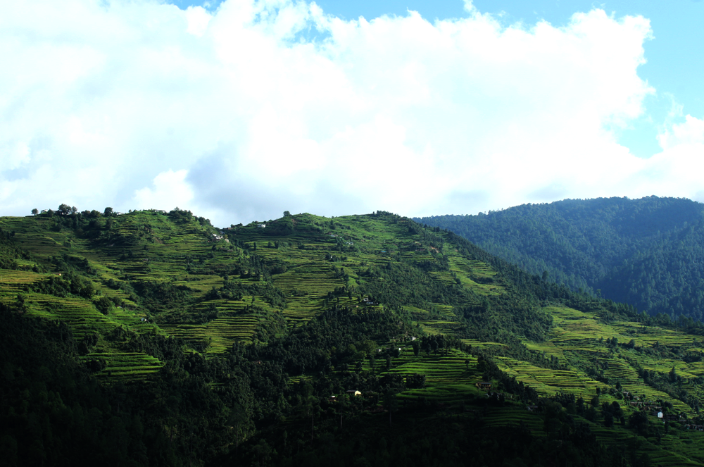 उत्तराखंड में गढ़वाल क्षेत्र का राठ इलाका धीरे-धीरे पिछड़ेपन का दाग धुल रहा है।