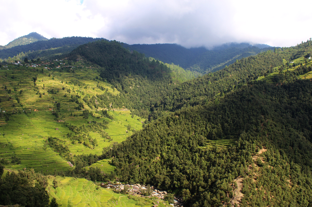 भारत के मौजूदा शिक्षा और मानव संसाधन मंत्री रमेश पोखरियाल निशंक का गांव इसी इलाके में है और पहली दफा वो यहीं से जीतकर उत्तर प्रदेश की विधानसभा में पहुंचे थे।