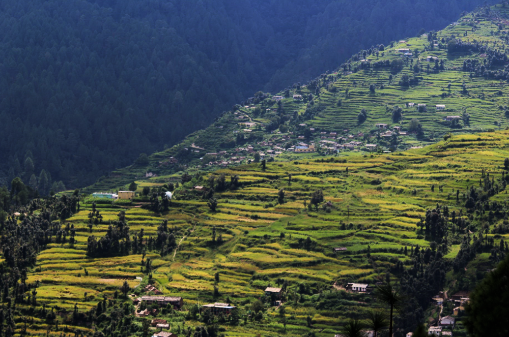 राठ पर्यटकों के लिए मुफीद जगह है और यहां गढ़वाल मंडल विकास निगम के गेस्ट हाउस पर्यटकों के लिए बनाए गये हैं।